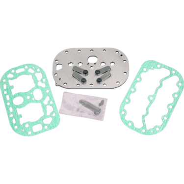 VALVE PLATE KIT