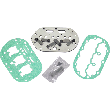 VALVE PLATE KIT