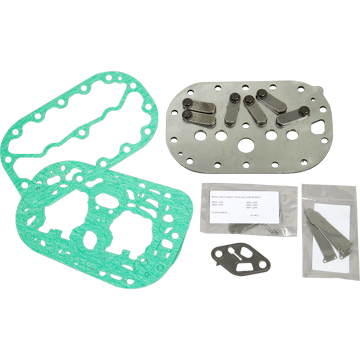 VALVE PLATE KIT