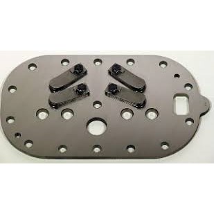 VALVE PLATE KIT